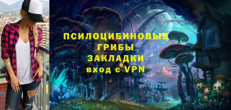 Псилоцибиновые грибы Magic Shrooms  darknet официальный сайт  Балей 